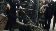 Salvador dali, njegovi mravi i drugi egzotični kućni ljubimci